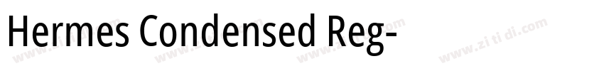 Hermes Condensed Reg字体转换